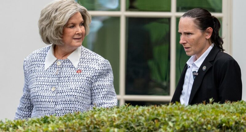 Trump's Ice Queen quietly calls security summit as scrutiny swells