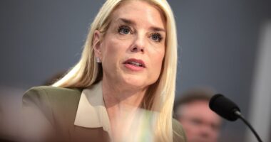 Trump's allies say fired Pam Bondi will STILL have to testify on Epstein 'cover-up' - and float potential replacements