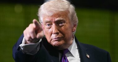 Trump's fragile 'peace' gives investors a rare chance. Here's what you must do NOW