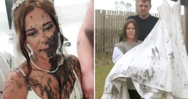 Truth behind ugly family feud that led to supposed 'spur of the moment' black paint attack on bride