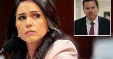 Tulsi Gabbard refers ex-intel community watchdog, whistleblower behind 2019 Trump impeachment to DOJ for criminal prosecutionÂ 