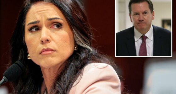 Tulsi Gabbard refers ex-intel community watchdog, whistleblower behind 2019 Trump impeachment to DOJ for criminal prosecutionÂ 