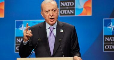 Turkey’s NATO role under scrutiny amid new report on Hamas, Muslim Brotherhood ties