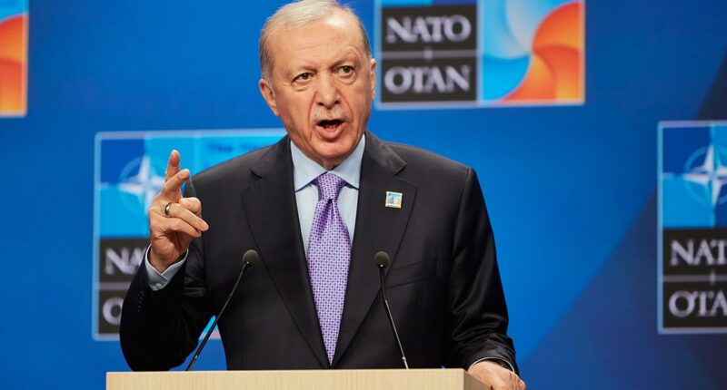 Turkey’s NATO role under scrutiny amid new report on Hamas, Muslim Brotherhood ties