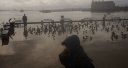 Turkish parliament passes bill to restrict social media access for under-15s