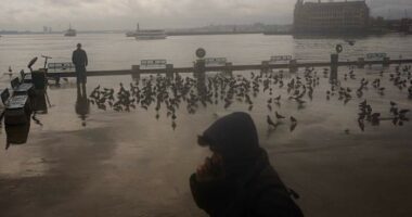 Turkish parliament passes bill to restrict social media access for under-15s