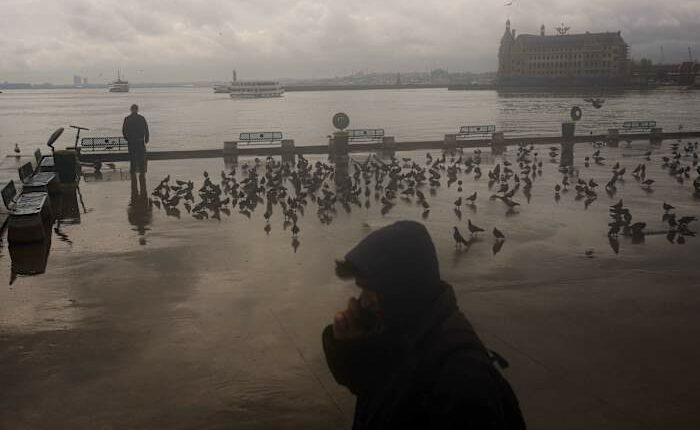 Turkish parliament passes bill to restrict social media access for under-15s