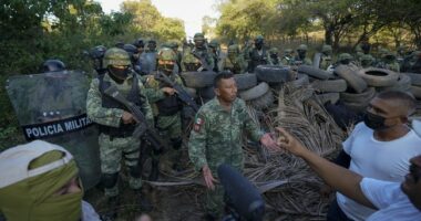 Two CIA Agents Reportedly Killed in Fiery Crash in Mexico, Leftist President Sheinbaum Demands Answers