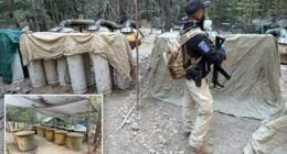 Two US Embassy officials among four killed in Mexico car crash after shutting down drug lab