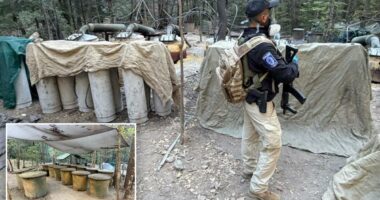 Two US Embassy officials among four killed in Mexico car crash after shutting down drug lab