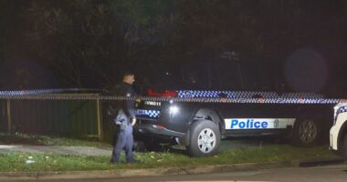 Two homes sprayed with bullets in Sydney's west