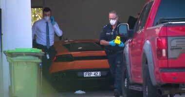 The thieves were attempting to steal luxury cars and jewellery.