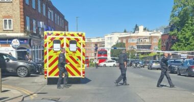 Two people are stabbed in Golders Green as knifeman is arrested