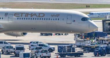 UAE airlines the first to resume flights to Israel since beginning of Operation Epic Fury in Iran