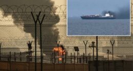 UAE ready to help US open Strait of Hormuz by force: report