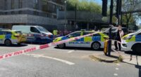 Golders Green stabbing