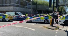 Golders Green stabbing