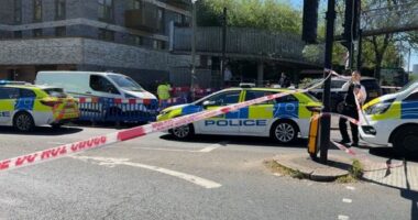 Golders Green stabbing