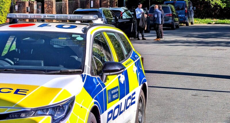 UK chief rabbi says Jews targeted by ‘sustained campaign of violence and intimidation' after string of attacks