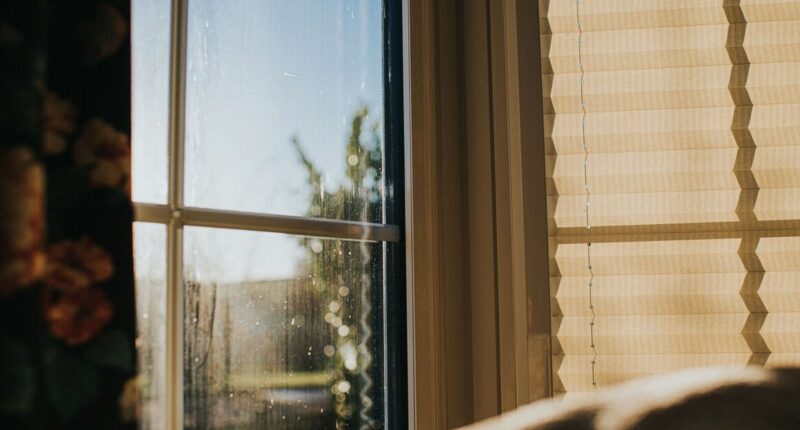 UK households urged to close windows at night-time this weekend