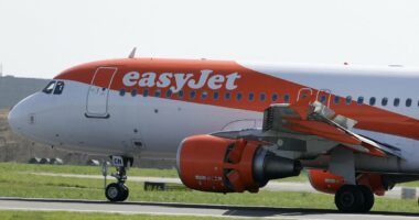 UK passengers are stranded in Milan airport 'because of border checks'