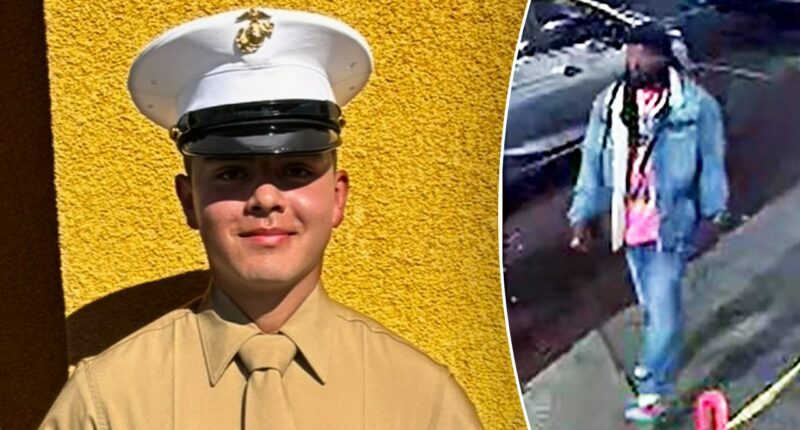 US Marine stabbed to death in North Carolina chaotic street brawl, police hunt person of interest