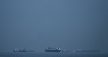 US Navy ships cross Strait of Hormuz for first time since start of Iran war: report