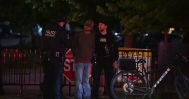 US Secret Service arrests suspect after barrier breach near White House during King Charles' visit