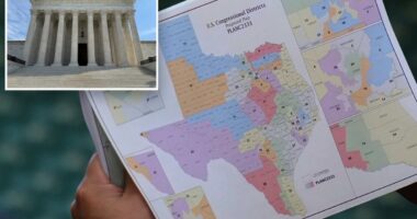 US Supreme Court lets Texas keep key GOP-boosting congressional map