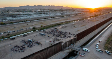 US immigration news: Toddler suffered alleged sex abuse in federal custody in Harlingen, Texas foster care, family says