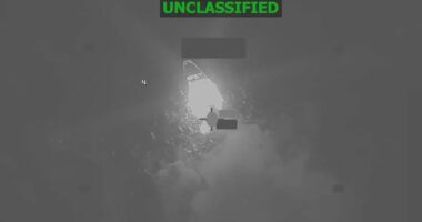 US military obliterates vessel and kills three 'narco-terrorists'