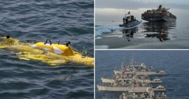 US turns to drones after retiring minesweepers to reopen Strait of Hormuz as Iran crisis rages