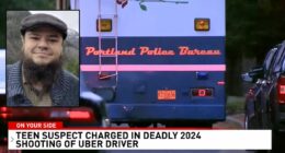 Uber driver killed when teen fired at passengers: Prosecutor