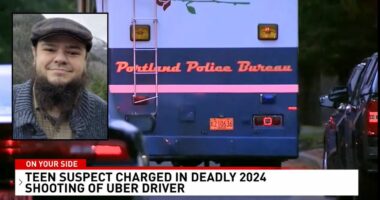 Uber driver killed when teen fired at passengers: Prosecutor