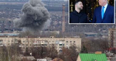 Ukraine pitches 'Donnyland' to honor Trump's aid against Russia: report