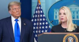 'Unacceptable': Judge says lawyer could be sanctioned and client could face charges over 'cut-and-paste lawyering' and 'fundamental error' in immigration case