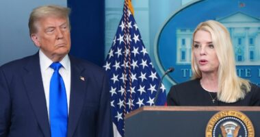 'Unacceptable': Judge says lawyer could be sanctioned and client could face charges over 'cut-and-paste lawyering' and 'fundamental error' in immigration case