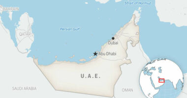 United Arab Emirates says it will leave OPEC effective May 1