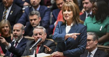 VCTs brace for record Isa season after Rachel Reeves' 'bonkers' tax relief cut