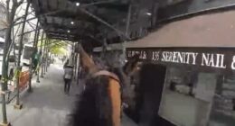 VIDEO: NYPD cop on horseback chases down purse-snatching suspect