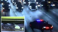 Vandal throws Lime scooter onto 110 Freeway, triggering multi-car crash in LA