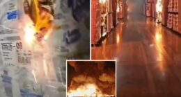 Video of Ontario fire warehouse shows alleged disgruntled employee start fire