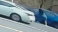 Video shows crazy road rage cat fight that has witness begging priest for 'a blessing'