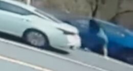 Video shows crazy road rage cat fight that has witness begging priest for 'a blessing'