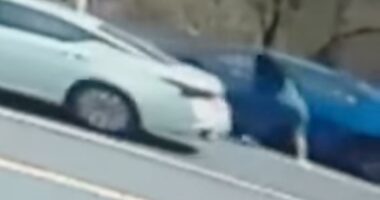 Video shows crazy road rage cat fight that has witness begging priest for 'a blessing'