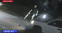 Vigilante faces court after violent bid to stop thieves from stealing his ute