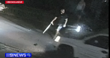 Vigilante faces court after violent bid to stop thieves from stealing his ute