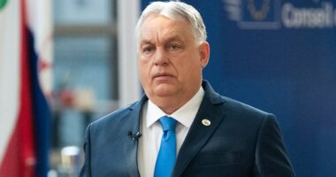 Viktor Orbán concedes defeat as opposition leader heads for potential supermajority win