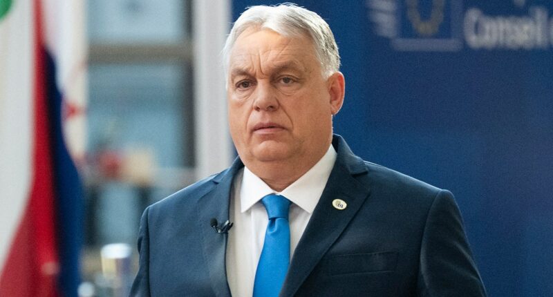 Viktor Orbán concedes defeat as opposition leader heads for potential supermajority win