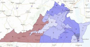 Virginia court pauses implementation of Democrat-drawn congressional mapÂ 